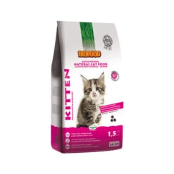 Biofood BF®Petfood Kitten -Almo nature Winkle 596d4420030520f8658f6bbefe80f7504c33efb2866bfb6b591b09eed75040ec 5