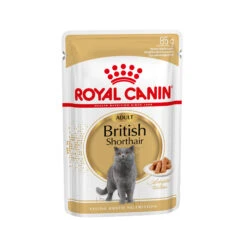 Royal Canin British Shorthair Adult Wet - Kattenvoer -Almo nature Winkle 7eddeaa797f089020d810a85360375f884680e6df17318052cca9ac7c7cb3b00 3 5