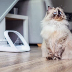 Surefeed Connect Microchip Voerautomaat -Almo nature Winkle WnNhu9hPMUo1QKjKghfbGLzae1cNy9 metaU3VyZWZlZWQtMS5qcGc