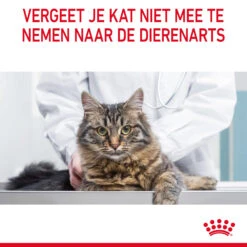 Royal Canin Hair & Skin In Jelly - Kattenvoer -Almo nature Winkle Za5qiWwLu5LlMRxA3ZdffyhTyYTngL metaUm95YWwtQ2FuaW4tVXJpbmFyeS1DYXJlLWluLUdyYXZ5XzA2LmpwZw