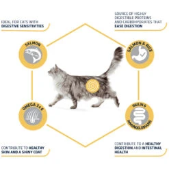 Affinity Advance Adult Salmon Sensitive - Kat -Almo nature Winkle affinity advance adult salmon sensitive kat 178666 1500 none