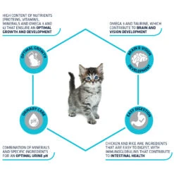 Affinity Advance Kitten Kip En Rijst -Almo nature Winkle affinity advance kitten kip en rijst kat 178231 1500 none