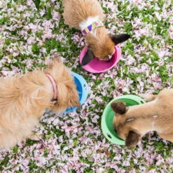 Beco Travel Bowl -Almo nature Winkle beco travel bowl 136390 2000 none