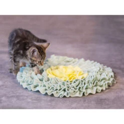 Beeztees Kitten Snuffelmat Flowie -Almo nature Winkle beeztees kitten snuffelmat flowie 216525 2000 none
