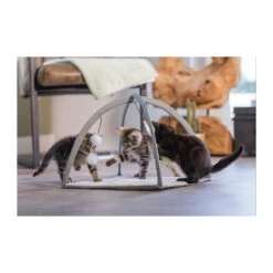 Beeztees Kitten Speelkleed Xabia -Almo nature Winkle beeztees kitten speelkleed xabia 216531 2000 none