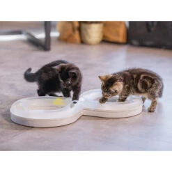 Beeztees Kitten Speelrail Agty 11 Beeztees Kitten Speelrail Agty -Almo nature Winkle beeztees speelrail agty 216522 2000 none