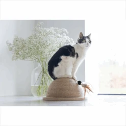 Designed By Lotte Halve Krabbol Vivi 9 Designed By Lotte Halve Krabbol Vivi -Almo nature Winkle designed by lotte halve krabbol vivi 221562 1500 none