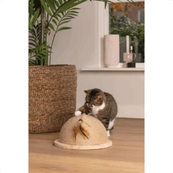 Designed By Lotte Halve Krabbol Vivi 8 Designed By Lotte Halve Krabbol Vivi -Almo nature Winkle designed by lotte halve krabbol vivi 221563 1500 none