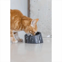 Designed By Lotte Kattenvoerbak Vita 20 Designed By Lotte Kattenvoerbak Vita -Almo nature Winkle designed by lotte kattenvoerbak vita 221522 1500 none