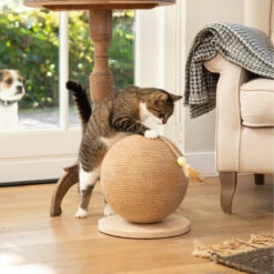 Designed By Lotte Krabbol Balty -Almo nature Winkle designed by lotte krabbol balty 164809 2000 none