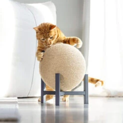 Designed By Lotte Krabbol Tyra -Almo nature Winkle designed by lotte krabbol tyra 222831 0500 none