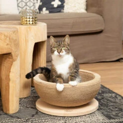 Designed By Lotte Krabmand Zaina -Almo nature Winkle designed by lotte krabmand zaina 198045 1000 none