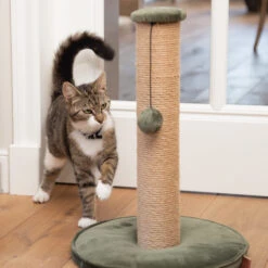 Designed By Lotte Krabpaal Yenna -Almo nature Winkle designed by lotte krabpaal yenna 164437 2000 none