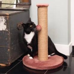 Designed By Lotte Krabpaal Yenna -Almo nature Winkle designed by lotte krabpaal yenna 164443 2000 none