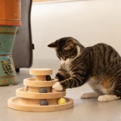 Designed By Lotte Speeltoren Mia -Almo nature Winkle designed by lotte speeltoren mia 193652 1000 none