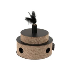 District 70 Fiesta -Almo nature Winkle district 70 fiesta 191015 0500 none