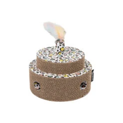 District 70 Fiesta -Almo nature Winkle district 70 fiesta 191021 0500 none