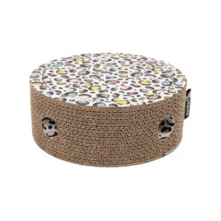 District 70 Fiesta -Almo nature Winkle district 70 fiesta 191024 0500 none