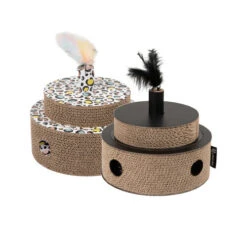 District 70 Fiesta -Almo nature Winkle district 70 fiesta 191158 0500 none