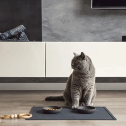 District 70 Serve Placemat 28 District 70 Serve Placemat -Almo nature Winkle district 70 serve placemat 209750 2000 none