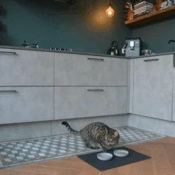 District 70 Serve Placemat 29 District 70 Serve Placemat -Almo nature Winkle district 70 serve placemat 209753 2000 none