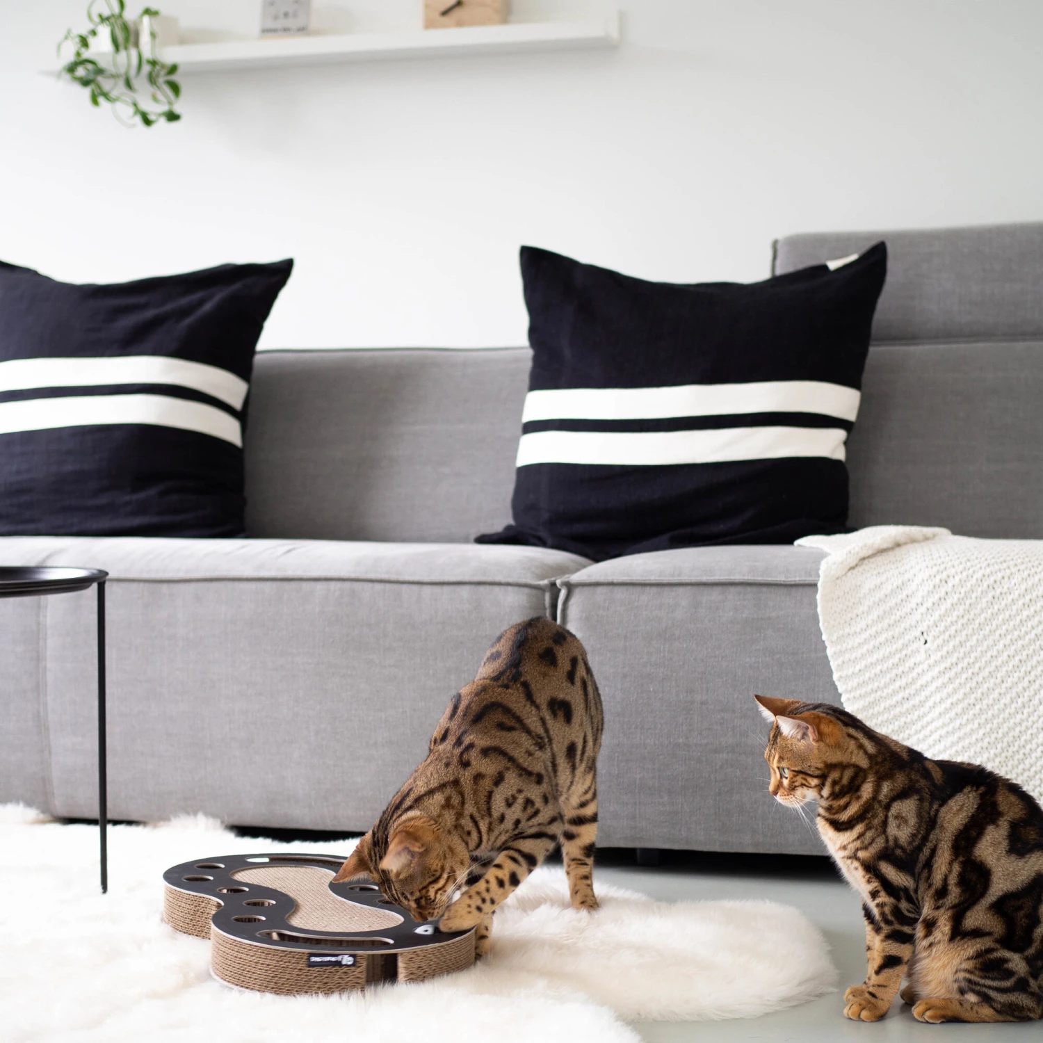 District 70 Snake 4 District 70 Snake - Afbeelding 2