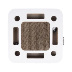 District 70 Spy -Almo nature Winkle district 70 spy 133864 1000 none