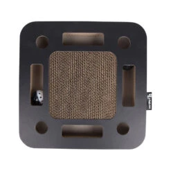 District 70 Spy -Almo nature Winkle district 70 spy 133873 1000 none