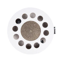 District 70 Whirl -Almo nature Winkle district 70 whirl 133843 1000 none