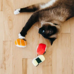 P.L.A.Y. Pet Feline Frenzy Cat Toy - Sushi 9 P.L.A.Y. Pet Feline Frenzy Cat Toy - Sushi -Almo nature Winkle feline frenzy cat toy sushi 198092 1000 none