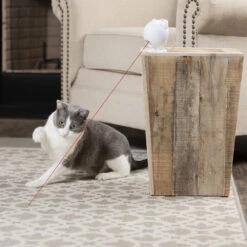 Frolicat Dancing Dot -Almo nature Winkle frolicat dancing dot 184735 1000 none