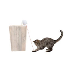 Frolicat Dancing Dot -Almo nature Winkle frolicat dancing dot 184738 1000 none