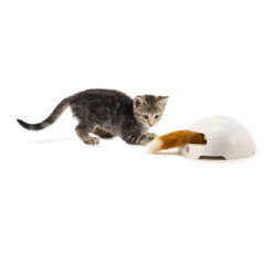 FroliCat Fox 11 FroliCat Fox -Almo nature Winkle frolicat fox 136600 2000 none