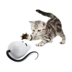 FroliCat RoloRat -Almo nature Winkle frolicat rolorat 136585 2000 none