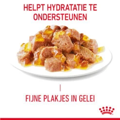 Royal Canin Light Weight Care In Jelly - Kattenvoer -Almo nature Winkle gHz8KLAqtgAJp5nKH3bPtgMazghEWl metaUm95YWwtQ2FuaW4tTGlnaHQtV2VpZ2h0LUNhcmUtaW4tSmVsbHlfMDMuanBn