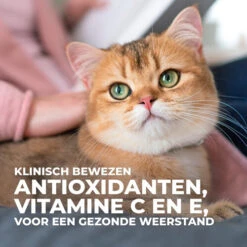 Hill's Science Plan - Feline Adult - Sterilised - Chicken - Maaltijdzakje -Almo nature Winkle hills science plan feline adult sterilised chicken 218807 0500 none