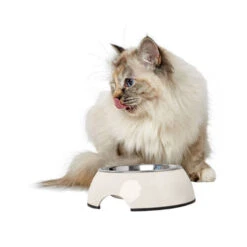 Hunter Melamine Voer- En Drinkbak - Wit -Almo nature Winkle hunter melamine voer en drinkbak wit 169570 0500 none