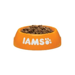 IAMS For Vitality Adult Cat Salmon & Chicken -Almo nature Winkle iams adult cat salmon chicken 133736 1000 none