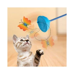 KONG Cat Teaser Purrsuit Vlinder -Almo nature Winkle kong cat teaser purrsuit vlinder 217713 1000 none