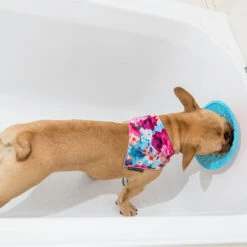 LickiMat Splash -Almo nature Winkle lickimat splash 164212 2000 none