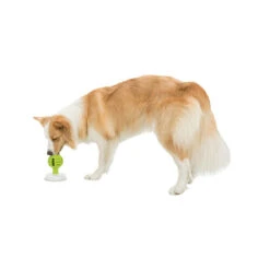 Trixie Lick'n'Snack Bal -Almo nature Winkle licknsnack bal 184660 0500 none