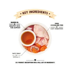 Lily's Kitchen Smooth Paté Kittenvoer - Kuipje -Almo nature Winkle lilys kitchen smooth pat kitten kattenvoer kuipje 194747 0500 none