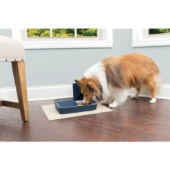 PetSafe Automatic 2 Meal Pet Feeder -Almo nature Winkle petsafe automatic 2 meal pet feeder 197492 0500 none
