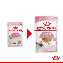 Royal Canin Kitten In Jelly - Kattenvoer -Almo nature Winkle royal canin kitten in jelly kattenvoer 207116 2000 none