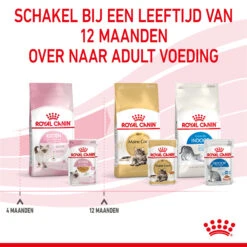 Royal Canin Kitten In Jelly - Kattenvoer -Almo nature Winkle royal canin kitten in jelly kattenvoer 207131 2000 none