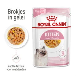 Royal Canin Kitten In Jelly - Kattenvoer -Almo nature Winkle royal canin kitten in jelly kattenvoer 207140 2000 none