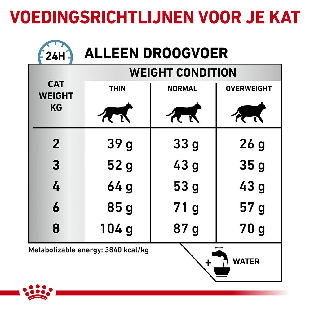 Royal Canin Skin & Coat 11 Royal Canin Skin & Coat - Afbeelding 9