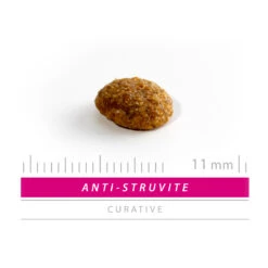 SANIMED Anti Struvite Cat -Almo nature Winkle sanimed anti struvite cat 158492 1500 none