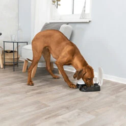 Trixie Dubbele Voederautomaat TX2 9 Trixie Dubbele Voederautomaat TX2 -Almo nature Winkle trixie dubbele voederautomaat tx2 170914 1000 none