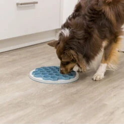 Trixie Slow Feeding Voederbak Bijenkorf -Almo nature Winkle trixie slow feeding voederbak bijenkorf 205454 0500 none